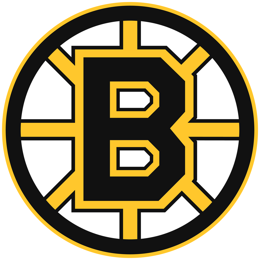 Boston Bruins 1995-2007 Primary Logo iron on transfers for fabric